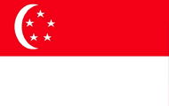 新加坡领事认证